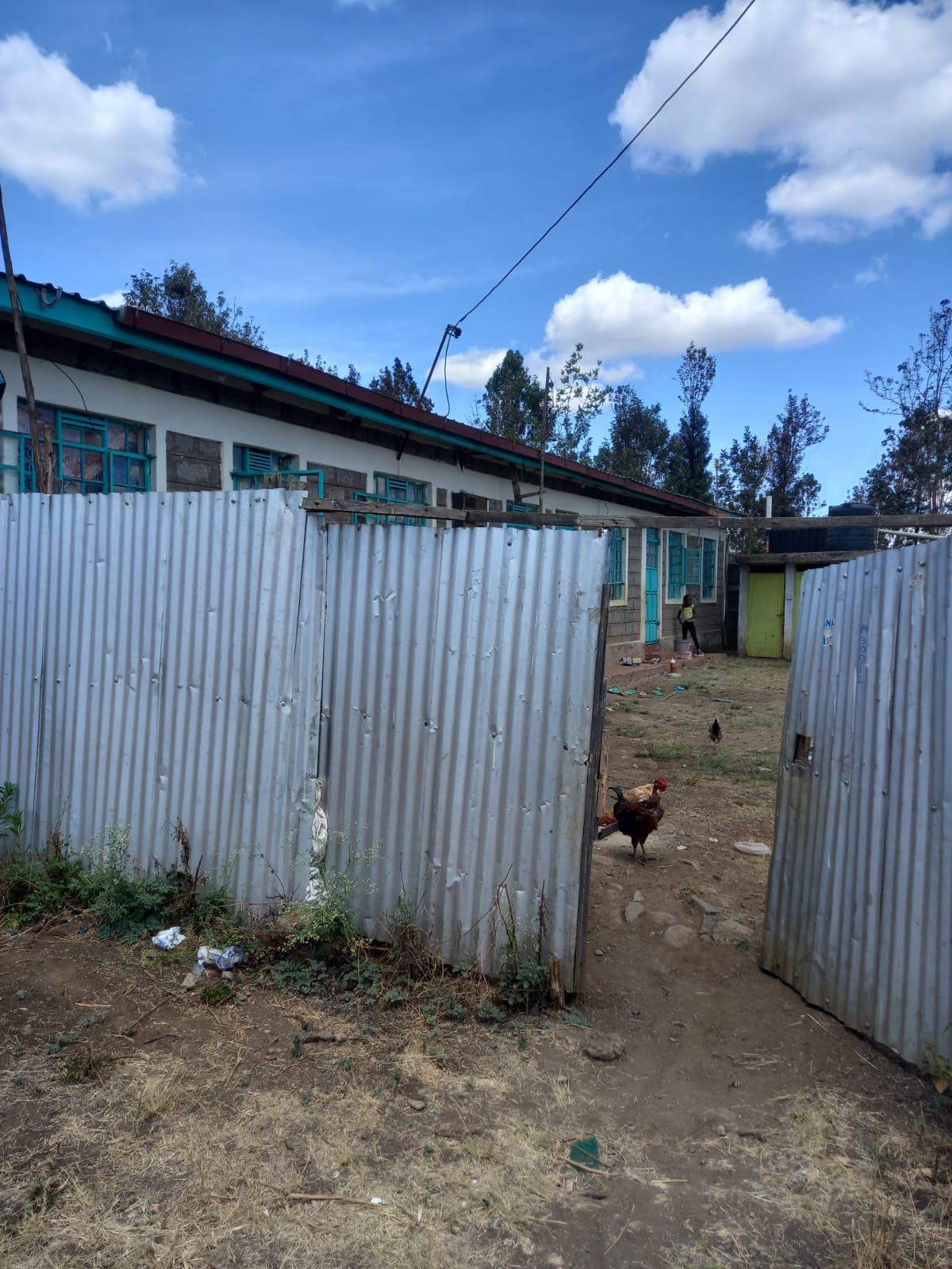 Kenol Property