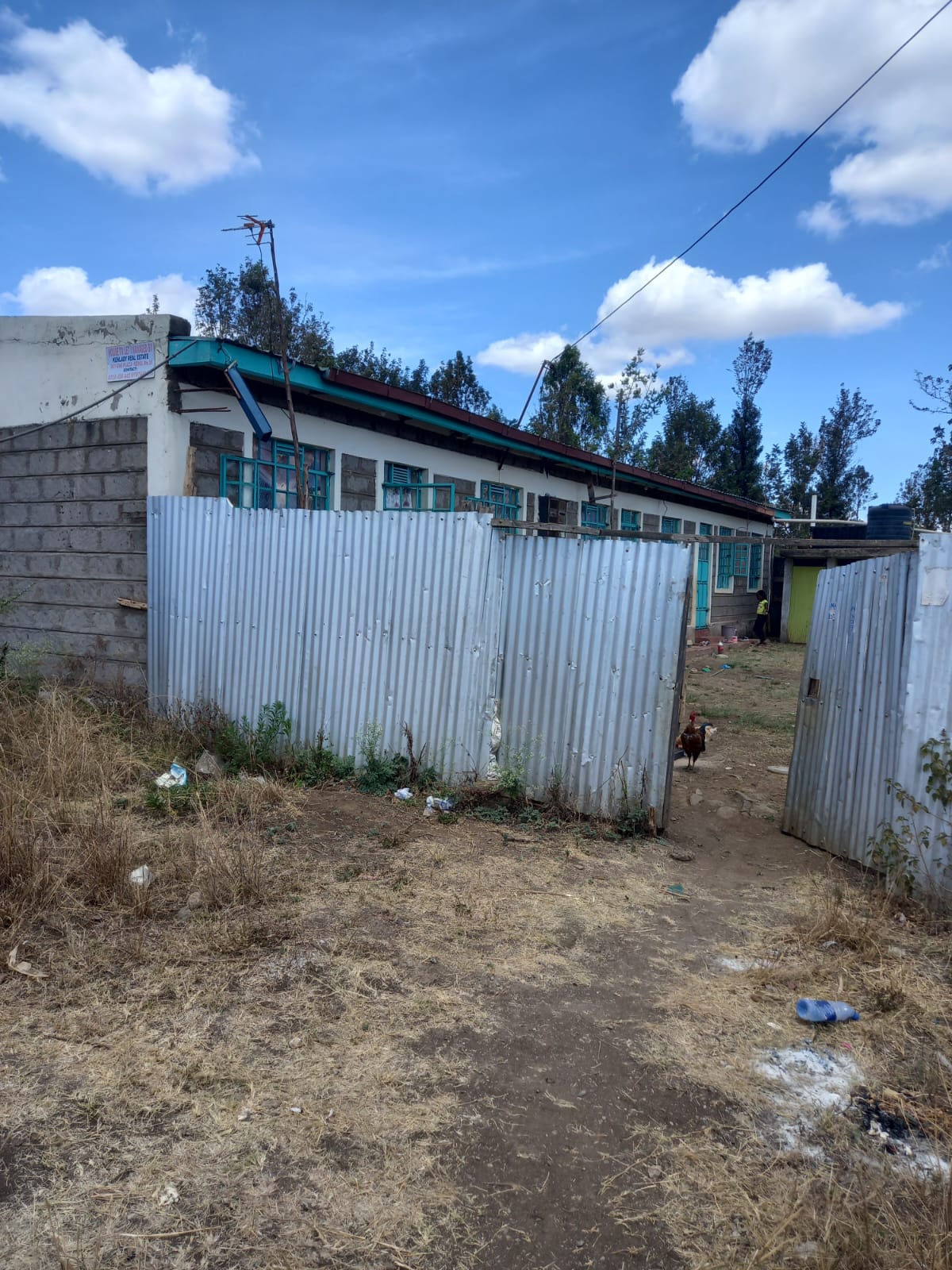 Kenol Property