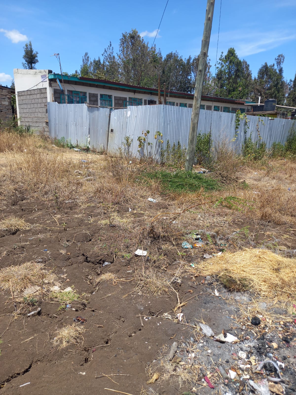 Kenol Property